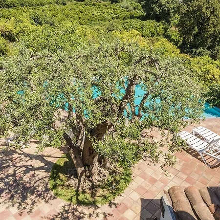 Etna Casa rural
